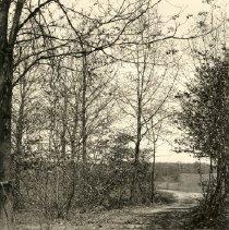 A Drive - Nature Park