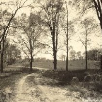 A Drive - Nature Park