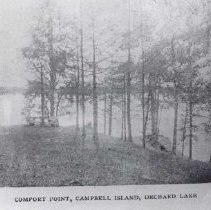 Comfort Point, Campbell Island, Orchard Lake.  In book, Picturesque Detroit.