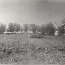 Apple Island, facing south shore at swamp.