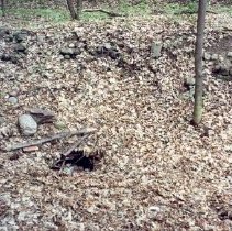 Cistern of Campbell House on Apple Island.
