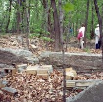 West End of Apple Island - Willis Ward Foundation, Real Estate Home.