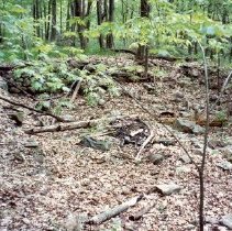 Old Campbell Foundation - Apple Island.