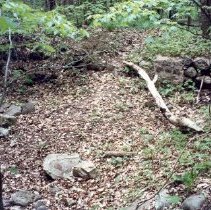 Old Campbell Foundation - Apple Island.