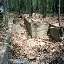 Picture of Apple Island.