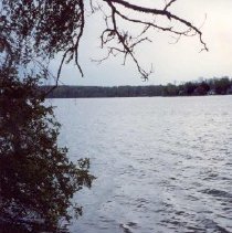 Picture of Apple Island