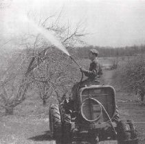 Donald Green spraying fruit trees
