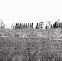 1920 Green School and House Revers