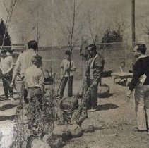 West Bloomfield Doherty Elementary School Photo of Boy Scouts planting Tree