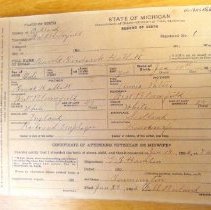 Birth Record 1906-1913