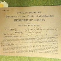 Birth register 1917-1920