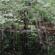 Pothole Apple Island Located on Southern End of Island