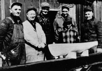 Looking at Model of  the Lilli