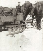 Winter mail horse sleigh