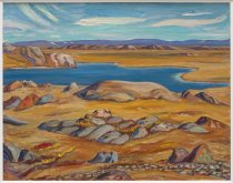 Barren Lands near Atnick Lake