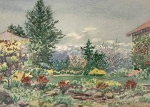 Gracie's "English" Garden and Spaniel run