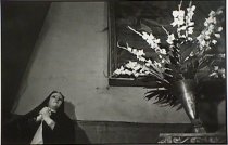 Mexico City, D.F. #69