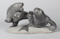 BEAR AND SEAL FIGHTING