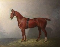 TITLE UNKNOWN (PAINTING OF A HORSE)