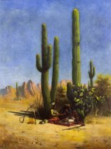 Giant Cacti in Southern Arizona