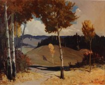 Aspens in the Valle Grande