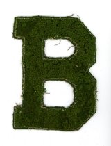 Bossier High School Varsity Letter