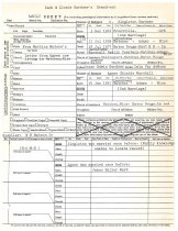 Family Group Chart for O. Singleton and Agnes Shields Marshall Gardner