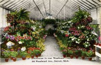 View of Greenhouse in rear Woodward Flower Shop, 361 Woodward Ave., Detroit, Mich.