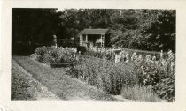 Black and white photograph showing a garden scene