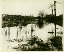 Black and white photographic print depicting a swamp