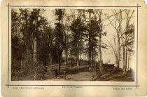 East End Pic-Nic Grounds