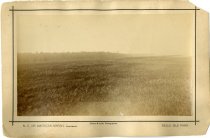 N.E. or American Marsh, Unreclaimed