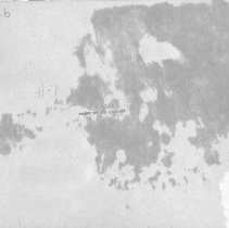 [Bainbridge House, c. 1960]