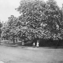 [Family and catalpa tree in front of the Beatty House]