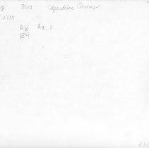 [Gardens at Edgerstoune]