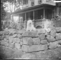 [Dog on the Hageman House wall]