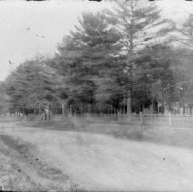 [Westland, before Grover Cleveland]