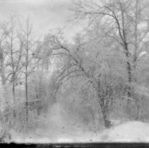 [Ice View, Mt. Lucas, Jan. 27, 1920]
