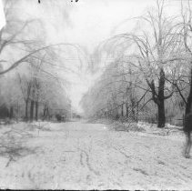 [Men with camera by University Hotel, after Storm]