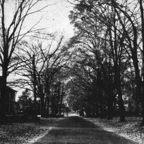 [Houses along Street]