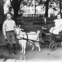 [Smalley Family Children with Goat Cart]