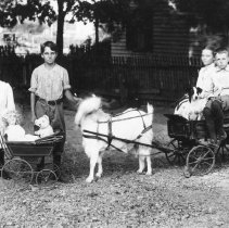 [Smalley Family Children with Goat Cart]