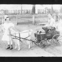 [Smalley Family Children with Goat Cart]