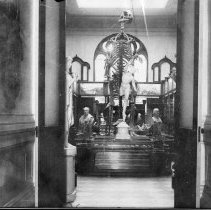 [Nassau Hall, Interior, Natural History Museum]