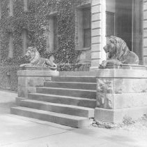 [Lions at Nassau Hall, before 1911]