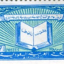 Saudi Arabia 7 1/3 p