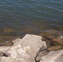 "Low with Sea Tide" by Kayla Martin