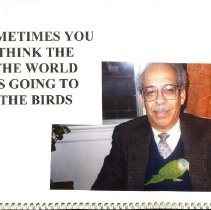 Suleiman calendar, November