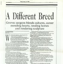 Newspaper Article