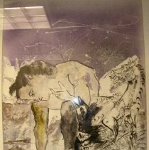 Immature Bird Horses